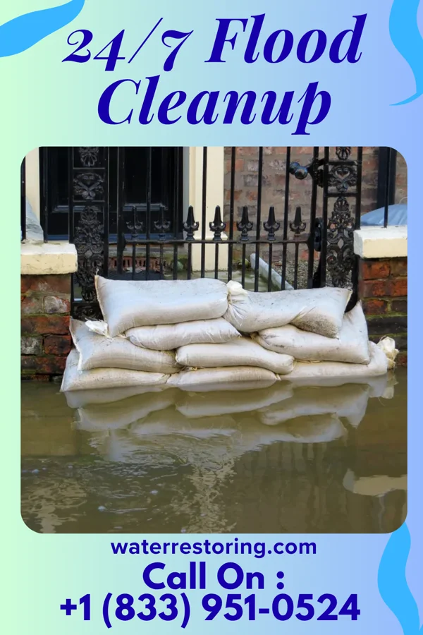 24/7 Flood Cleanup in Verndale, MN