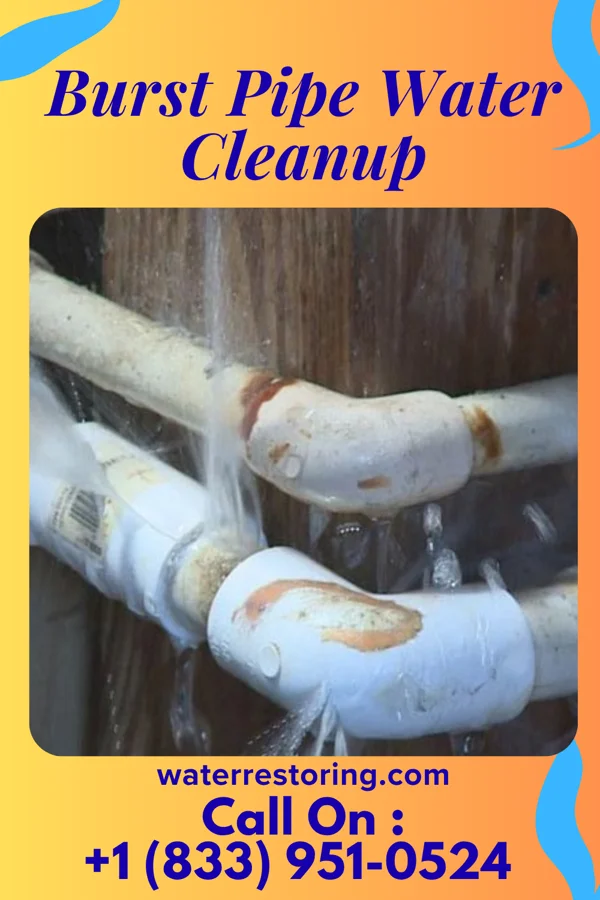 Burst Pipe Water Cleanup in Verndale, MN