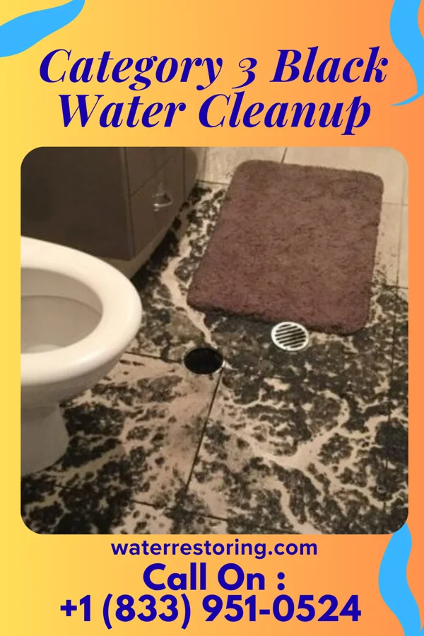 Category 3 Black Water Cleanup in Verndale, MN