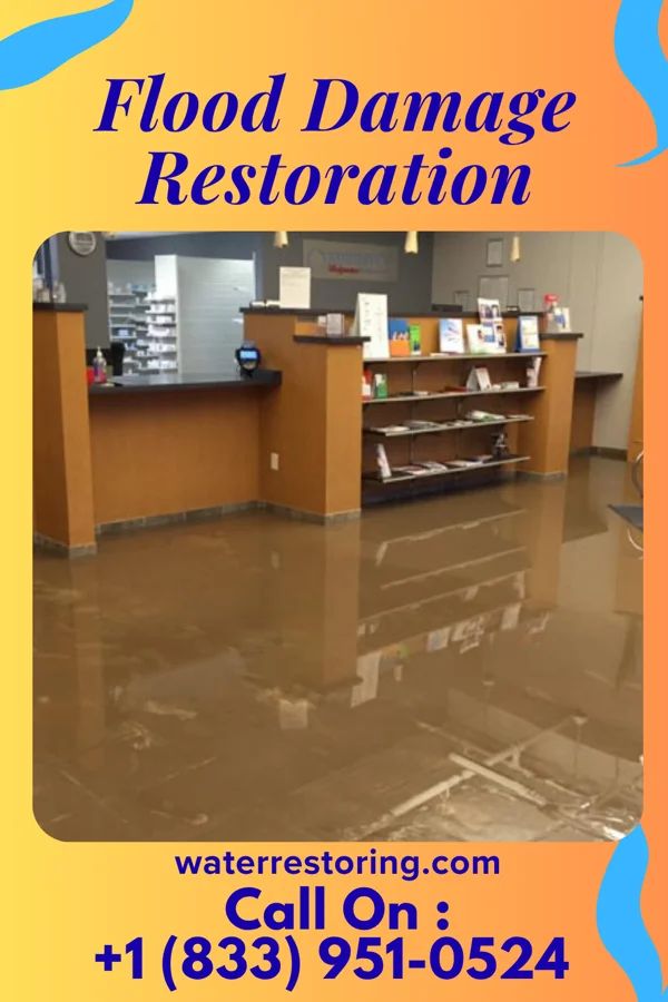 Flood Damage Restoration in Verndale, MN