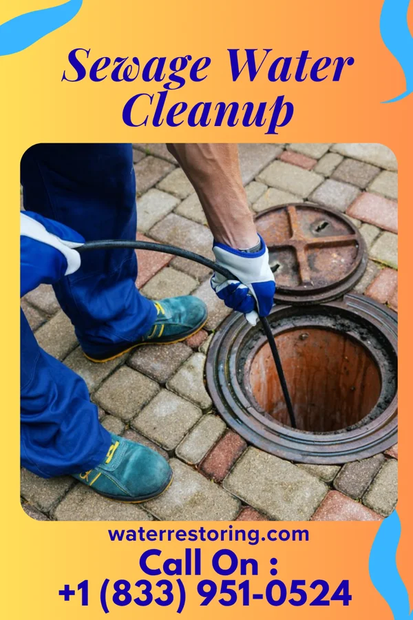 Sewage Water Cleanup in Verndale, MN